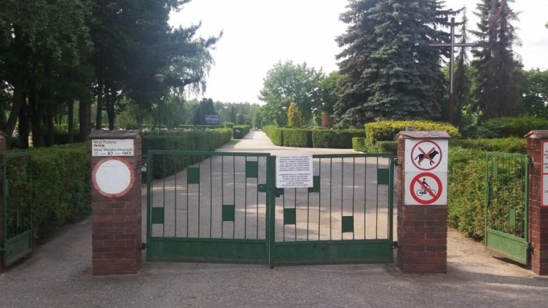 Miejska nekropolia do przebudowy