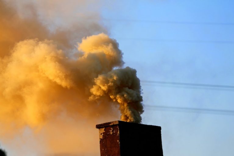 Eko-patrol nie zwalnia tempa