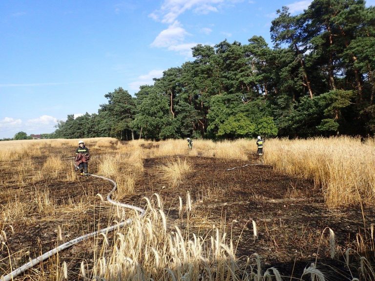 Spłonął hektar zboża