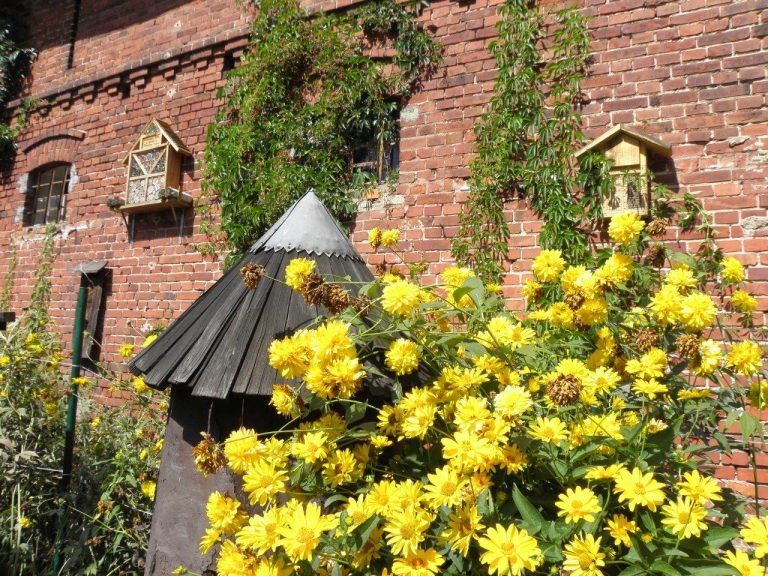 Miodowe Lato zawita do Skansenu