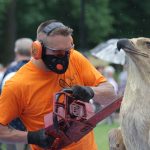 TygodnikSwarzedzki FestiwalDrewna 01