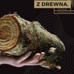 TygodnikSwarzedzki FestiwalDrewna 02
