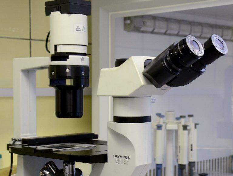 Groźna bakteria w gminie?