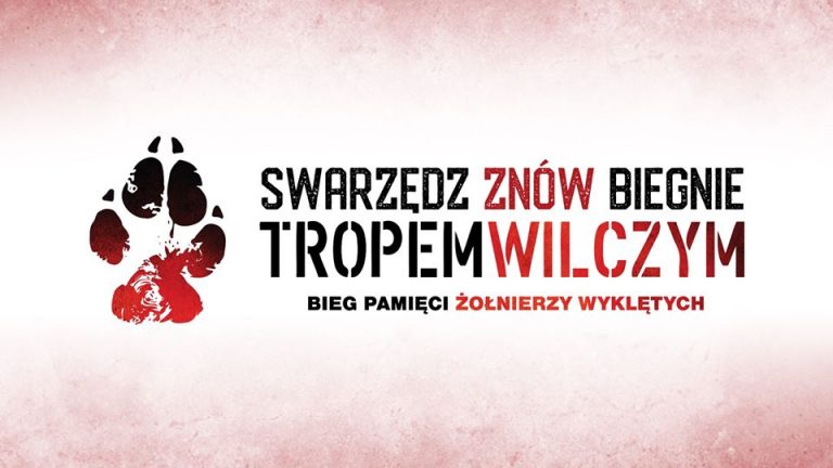 Pobiegnij Tropem Wilczym