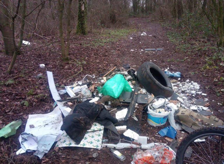 W Uzarzewie też na dziko