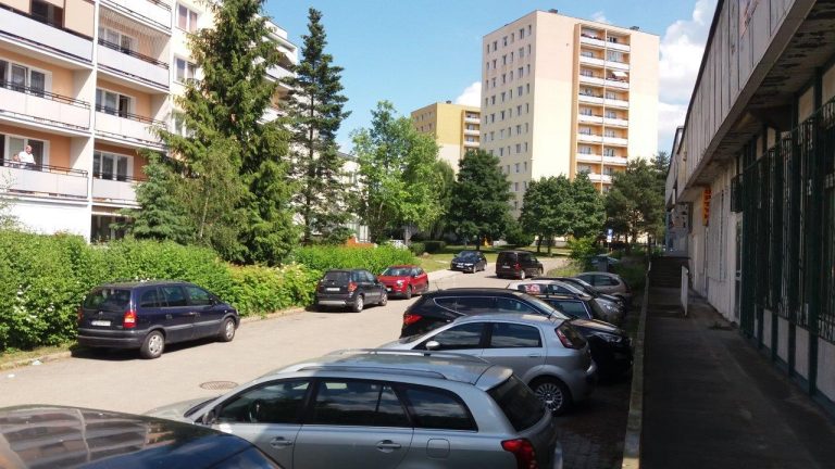 Plac manewrowy kosztem drzew i miejsc parkingowych!