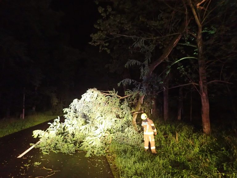 Drzewo zablokowało drogę
