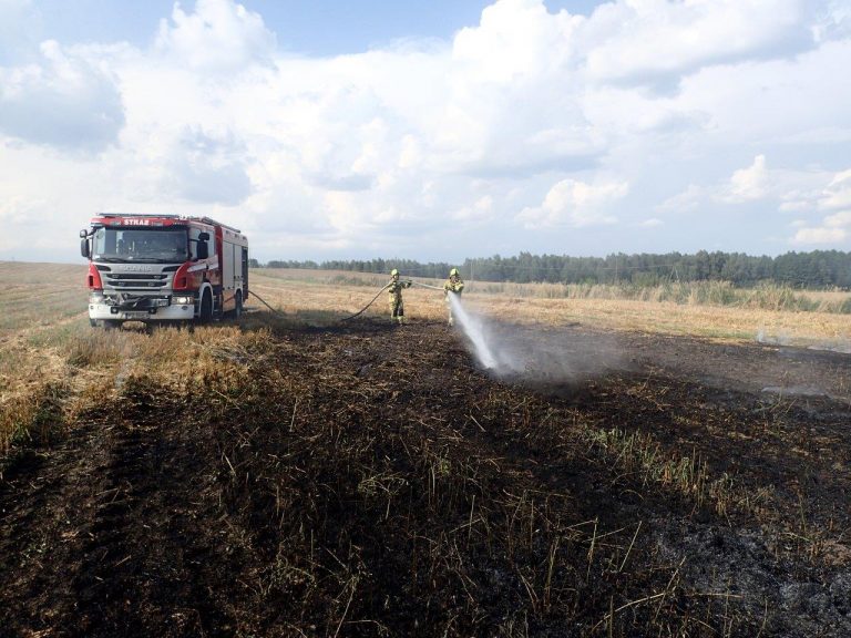 Zagrożone hektary zboża