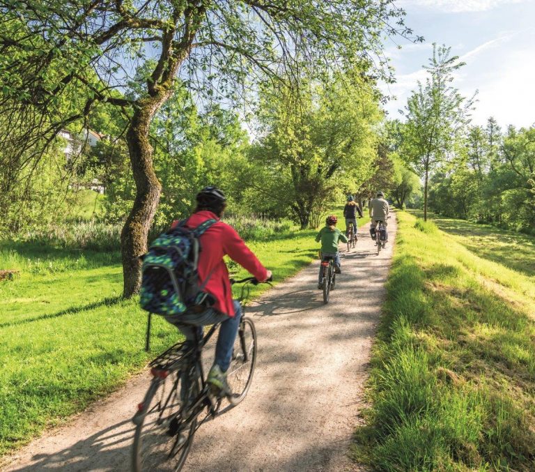 Wraca temat ścieżki nad jeziorem!