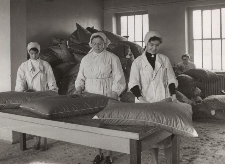 Piórex kończy 75 lat!