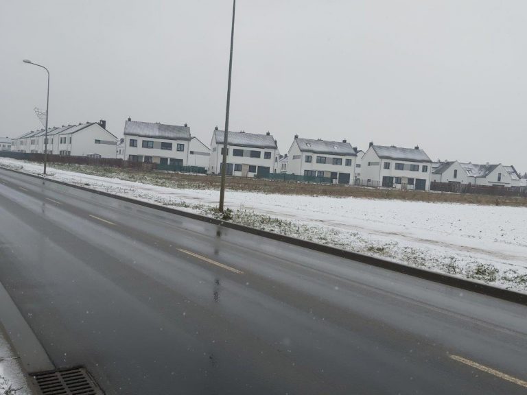 W Zalasewie wyrośnie park