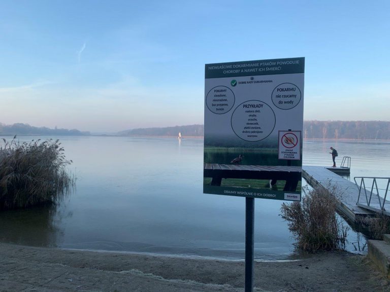 Nie dokarmiajmy ptaków chlebem!