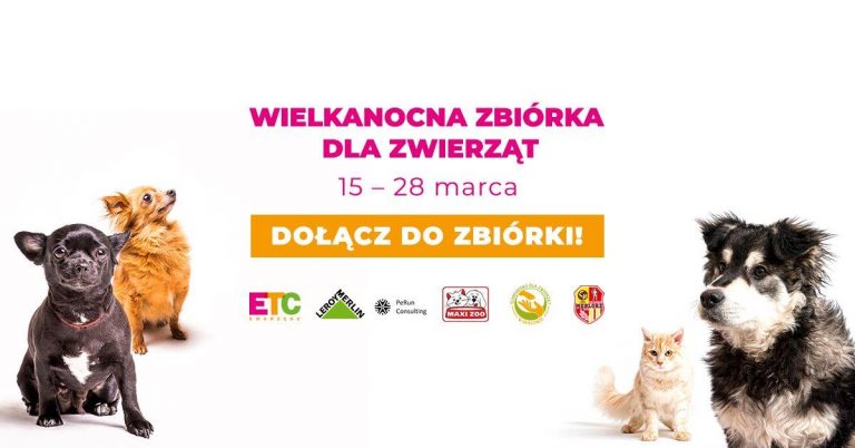 Zbiórka karmy w ETC Swarzędz
