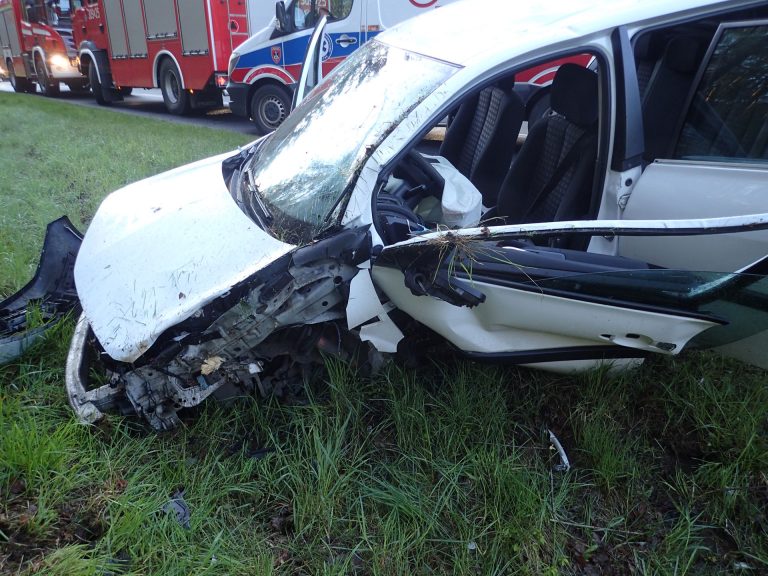 Wypadł z drogi i uderzył  w drzewo