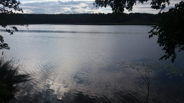 Mężczyzna nie przeżył