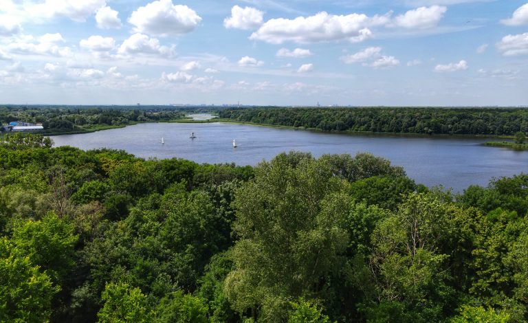 Dołącz do akcji sprzątania brzegu J. Swarzędzkiego!