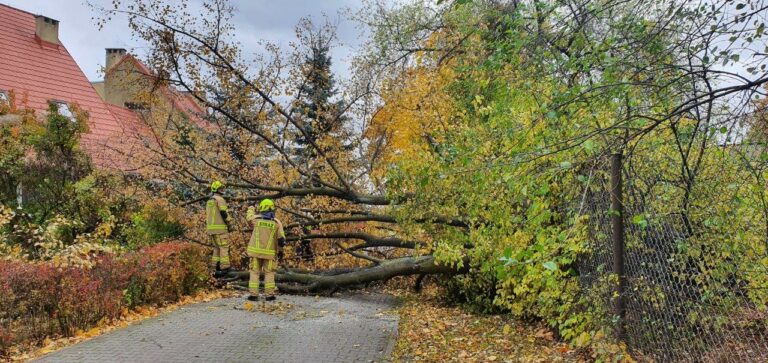 Walczyli ze skutkami wichury