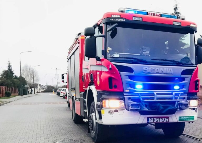 Pies wpadł do szamba