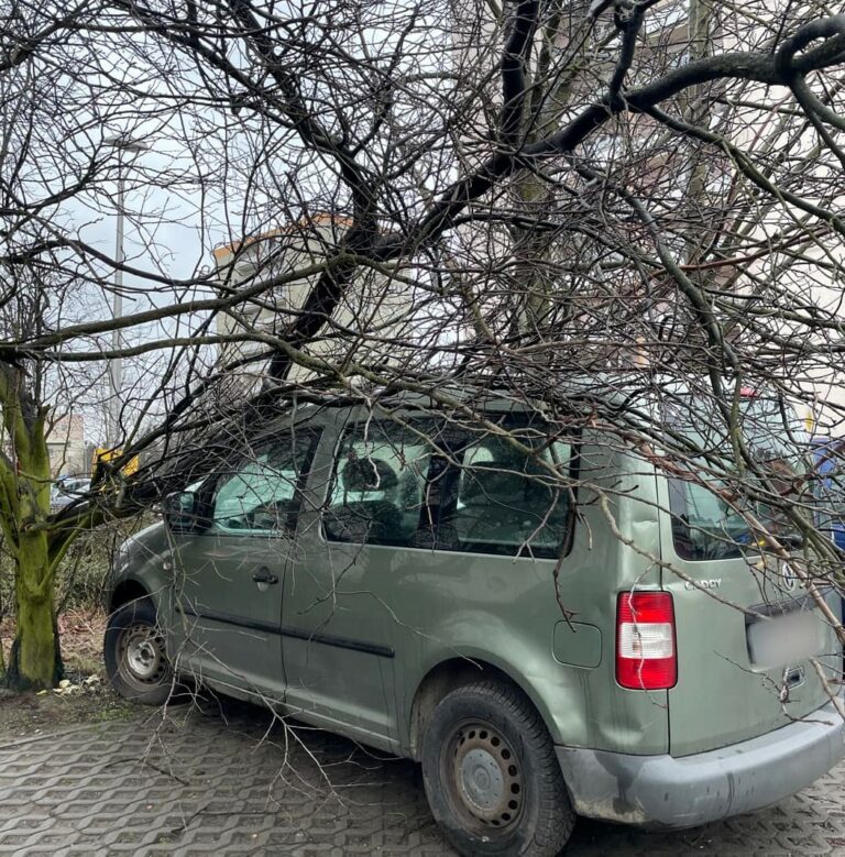 Wichura znowu szalała nad Swarzędzem