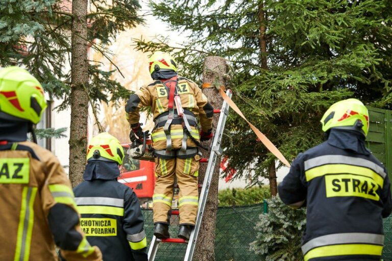 Druhowie ponownie walczyli ze skutkami wichury