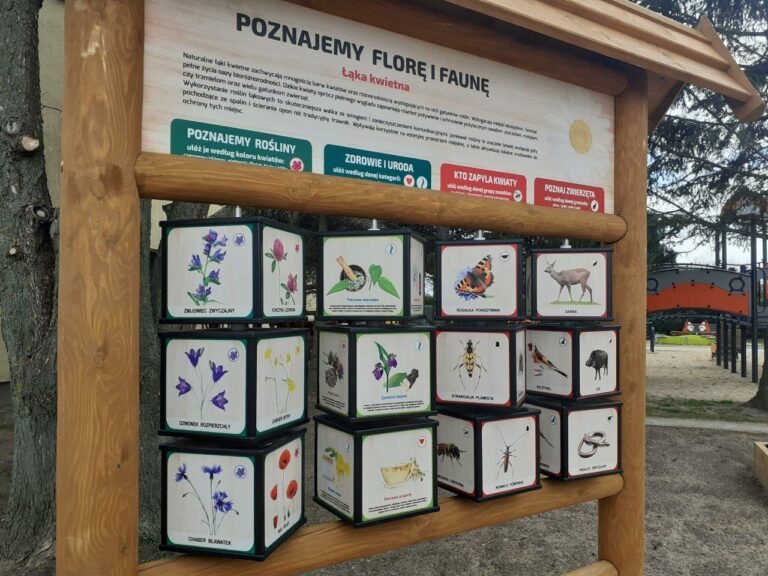 Rabowice z ogrodem ekologicznym