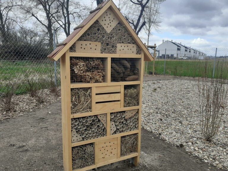 Budzimy wiosnę w Rabowicach