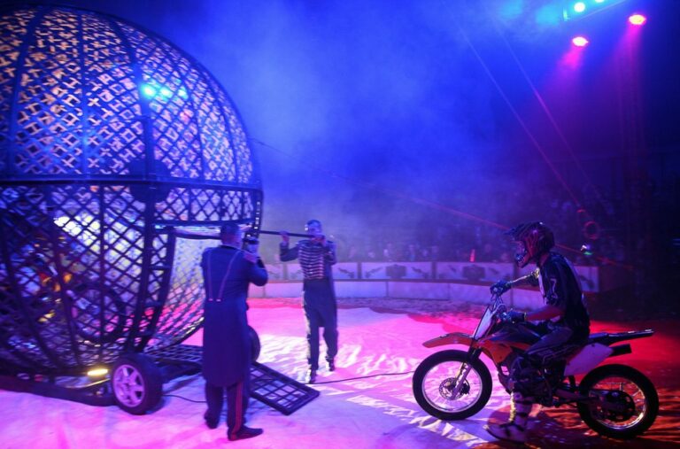 Jubileuszowe show Cyrku Zalewski w Swarzędzu