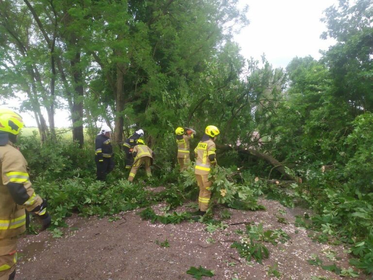 Walczyli ze skutkami burzy