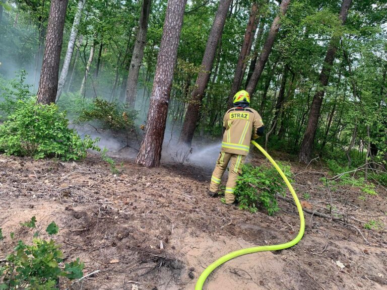 Coraz większe zagrożenie pożarowe w lasach