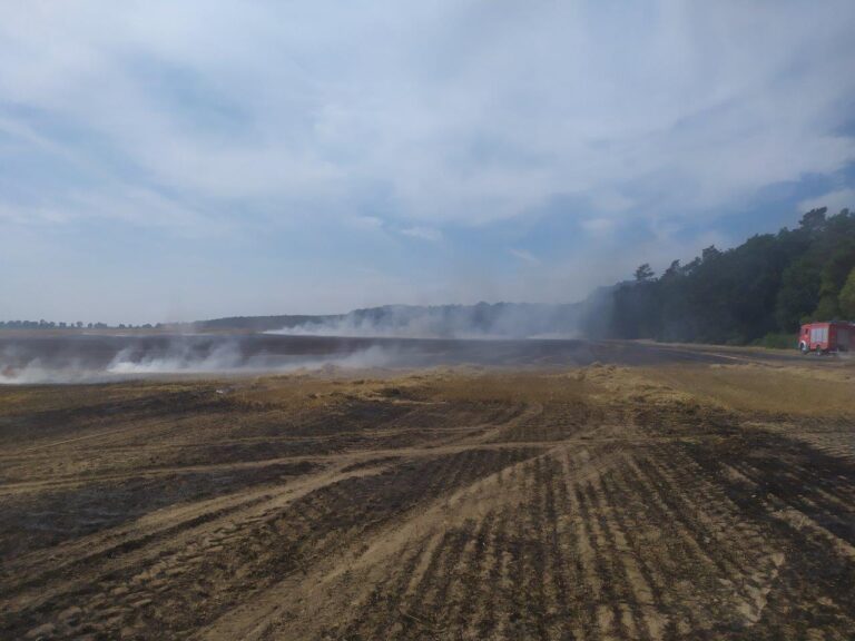 Płonęło pole w Karłowicach