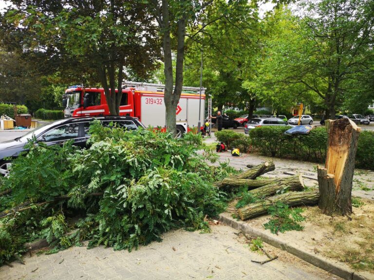 Drzewo zagrażało przechodniom