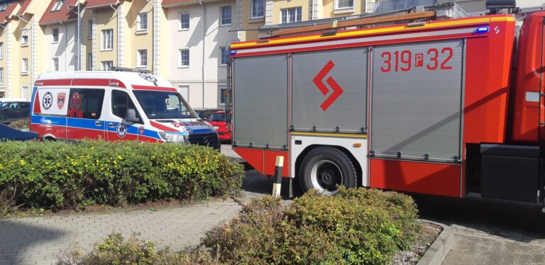 Pomagali ratować mieszkańców