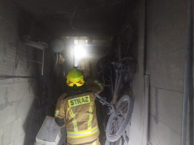 Pożar na działkach