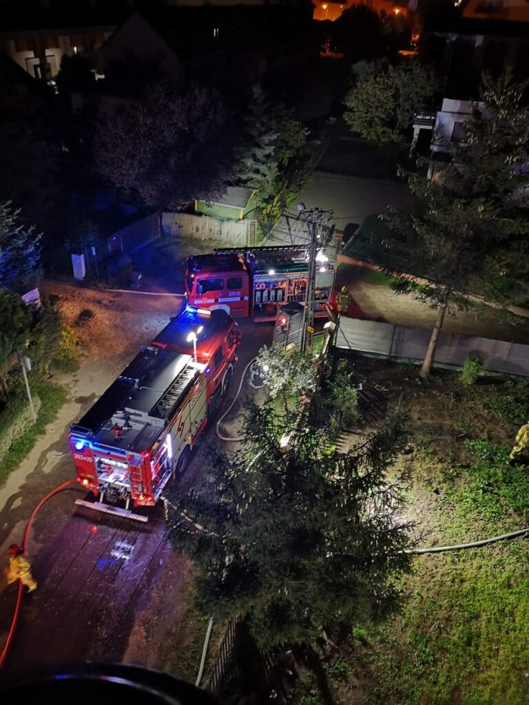 9-latek z Zalasewa brutalnie zamordowany