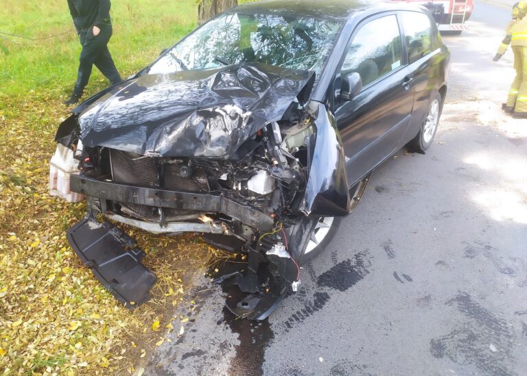 Osobówka uderzyła w drzewo