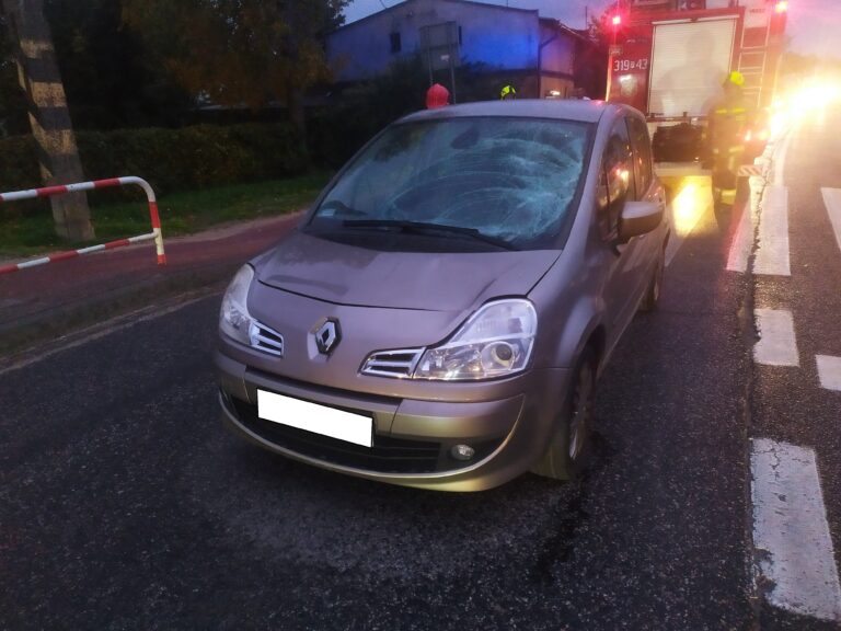 Potrącenie na przejściu dla pieszych