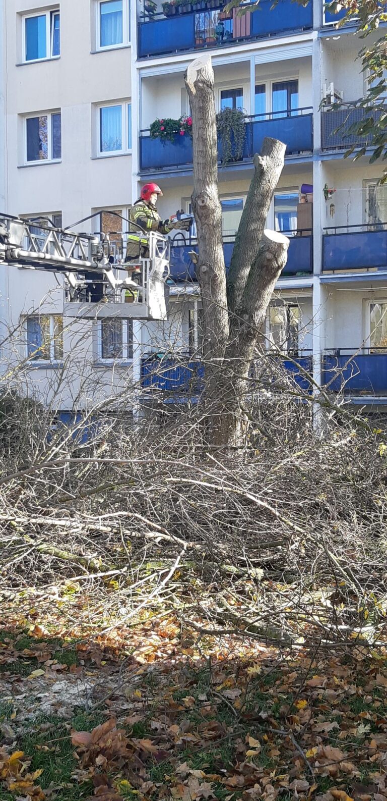 Druhowie zażegnali zagrożenie