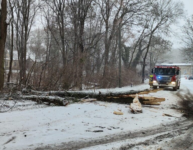 Drzewo uszkodziło linię energetyczną