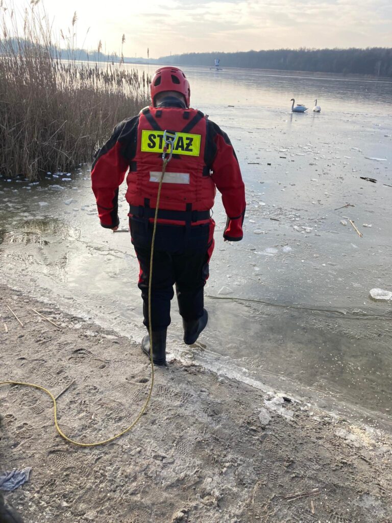 Łabędzie zaniepokoiły spacerowiczów