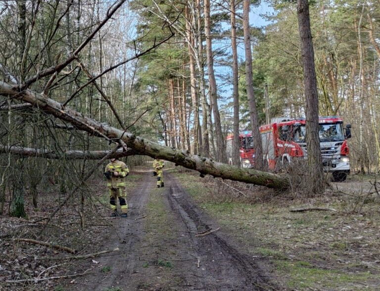 Wichury oszczędziły gminę