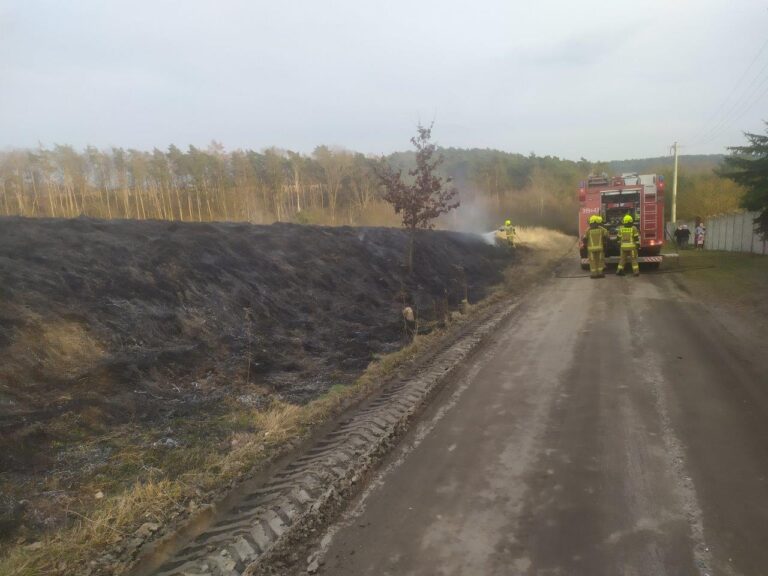 Wypalacze traw znowu w akcji