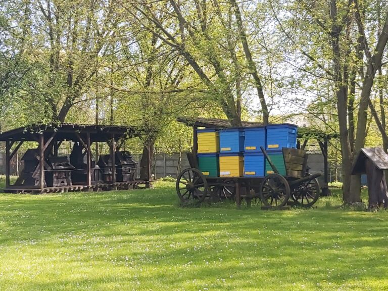 Skansen zaprasza na Miodowe Lato