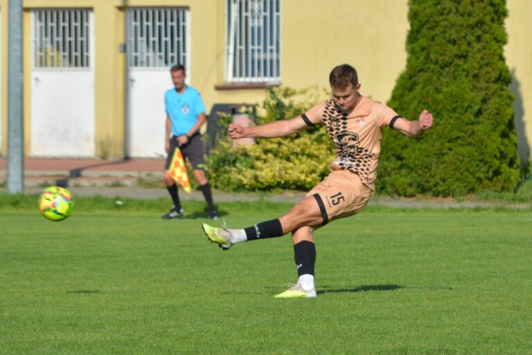 Koniec serii Meblorza