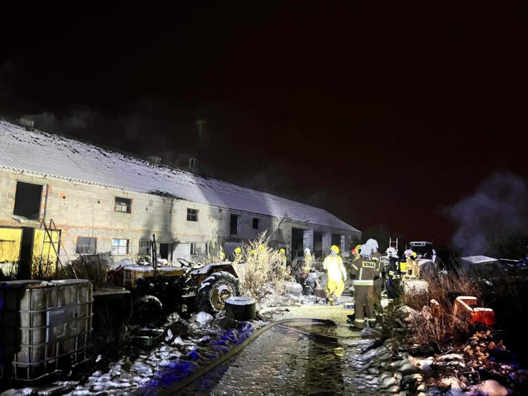 Kurnik i obora w opałach