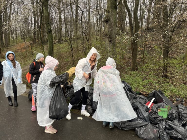 Porządkowali teren wokół Jeziora Swarzędzkiego