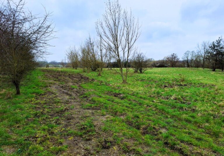 Swarzędz z parkiem miejskim przy Poznańskiej?