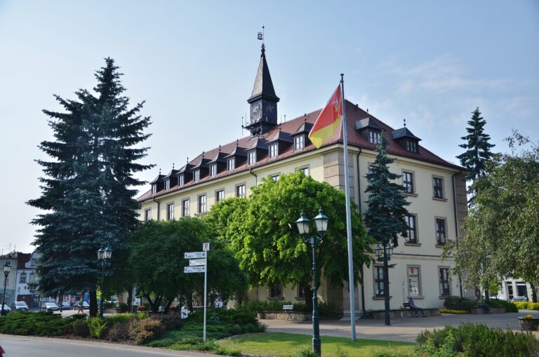 Rozpoczęło się głosowanie!