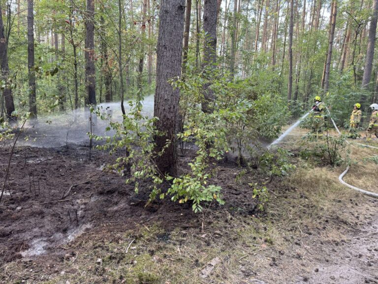 Pożar na nasypie kolejowym