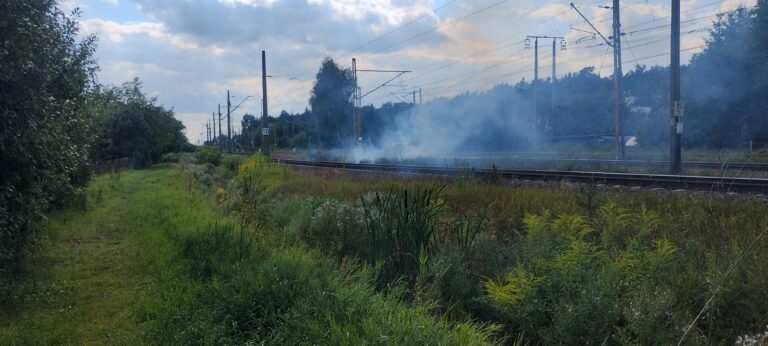Raca przyczyną pożaru w Kobylnicy