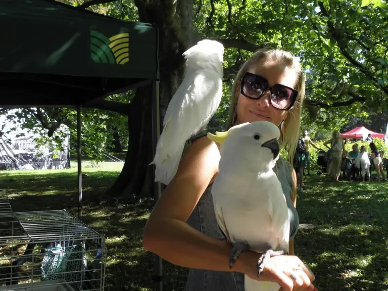 „Ptasia” impreza w uzarzewskim muzeum